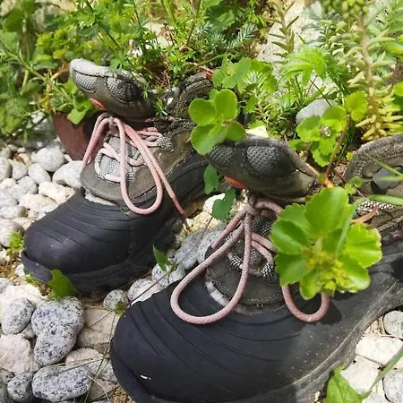 Lucky Kitten , High Tatras * Nova Lesna